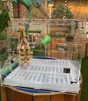 إعلان عن قفص كريلك