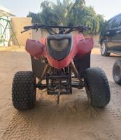 إعلان عن اجار بقيات بجبد  50/100/ 6/6/0/6/4/8/1/4 رقم هاتف