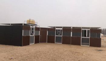 إعلان عن تفصال بنأجر خيل بادوك مصلب هنقر توصل وت ساب