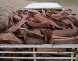 إعلان عن للبيع حطب صفصاف
