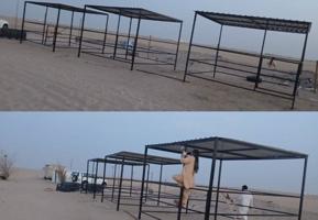 إعلان عن للبيع بناجر خيل صيفيه وشتويه + بواديك .. ومخازن للعلف وغرف معزوله