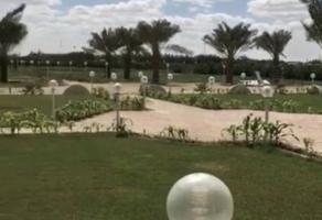 إعلان عن مطلوب مزرعة العبدلي 12.5 او 10 فضاء