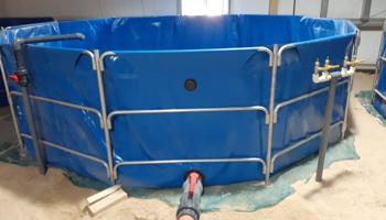 إعلان عن احواض سمك