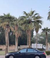 إعلان عن مرسيدس S550 موديل 2014 عداد 135 الف كيلو