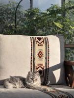 إعلان عن نثية شيرازي