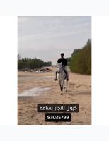إعلان عن اجار خيل