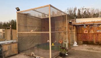 إعلان عن للبيع محميه طيور فك وتركيب براقي 3+6 ارتفاع 3 متر