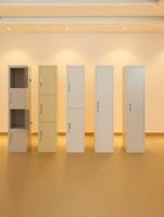 إعلان عن Steel Lockers - Brand New and Free Delivery / خزان حديد جديد توصيل