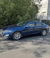 إعلان عن ماليبو 2019