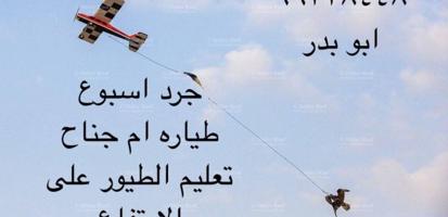 إعلان عن جرد طيور