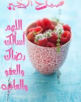 إعلان عن لأيجار شقه ارضيه بأم الهيمان مدخل مستقل مع حوش صغير غرفتين وصاله ومطبخ