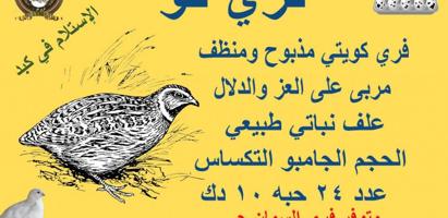 إعلان عن للبيع بيض فري تاكسس الجامبو