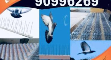 إعلان عن ‏تركيب طارد لحمام سلك لحمام مانع لحمام شبك لي لحمام 🇰🇼