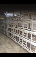 إعلان عن للإيجار جبار كبد ٧ في ٥للحمام والدجاج وطيور الزينه