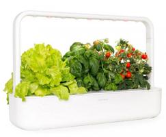 إعلان عن كليك اند جرو