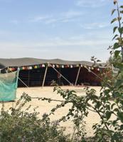 إعلان عن مزرعة الجابريه طريق 700 مكونه من 8 غرف ومسطحات خضراء مسبح مغطى