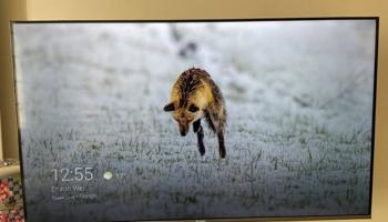 إعلان عن منطقة السلام