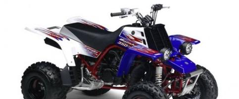 إعلان عن مطلوب بانشي مايهم الموديل