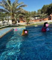 إعلان عن استراحة دار عز الهجن صوب جبد