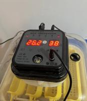 إعلان عن فقاسات الرابطة العالمية احجام صغيره وجودة في الانتاج