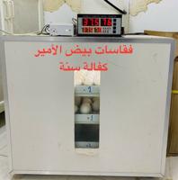 إعلان عن فقاسات بيض ومكيفات ماء (صحراوي) الأمير لبيع وإصلاح وصيانة مع الكفالة