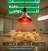 إعلان عن ليتات تدفئة ومعالف