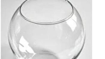 إعلان عن بيعه سريعه ١٥ فازه كبيره