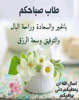 إعلان عن محاضر جامعي لجميع المواد الخاصة باللغة العربية