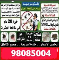 إعلان عن مكافحه حشرات وقوارض كفاله سنه