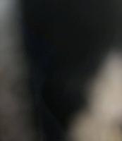 إعلان عن سائق1111