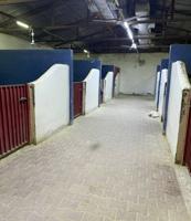 إعلان عن مربط للافراس ومهرات