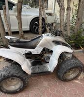 إعلان عن بقي صيني نظيف