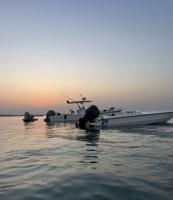 إعلان عن للبيع فيلوستي