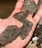 إعلان عن جار فيتنامي استثنائي