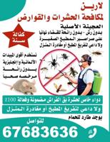 إعلان عن @مكافحة@حشرات@مكافحة@حشرات@مكافحةحشرات@مكافحة@حشرات@مكافحة@حشرات@