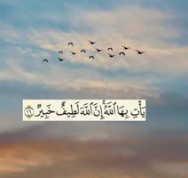 إعلان عن للبيع محل في النخله مول موقع مميز