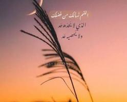 إعلان عن افغاني مواليد الكويت ادور دوام يناسبني