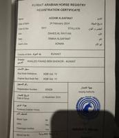 إعلان عن بيور شرط السلم والتحويل