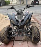 إعلان عن للبيع بقي صنع صيني فرخ الرابتر