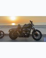 إعلان عن هارلي سبوستر 883