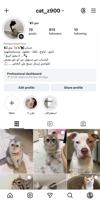 إعلان عن حساب cat_z900  للتبني قطط& كلاب