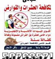 إعلان عن مكافحه حشرات