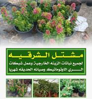 إعلان عن مشتل الشرقيه