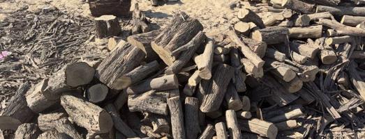 إعلان عن للبيع كين كاربس شرط ناشف وشبوبه طيب