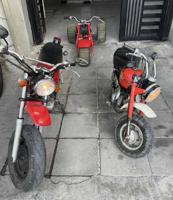 إعلان عن 50منكي اصلي