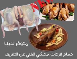 إعلان عن حمام مصري سبيشل