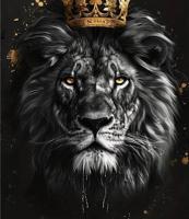 إعلان عن اي منطقه