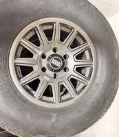 إعلان عن للبيع شواهين مع برايد