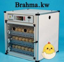 إعلان عن فقاسات براهما