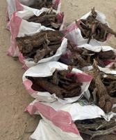 إعلان عن للبيع رمث